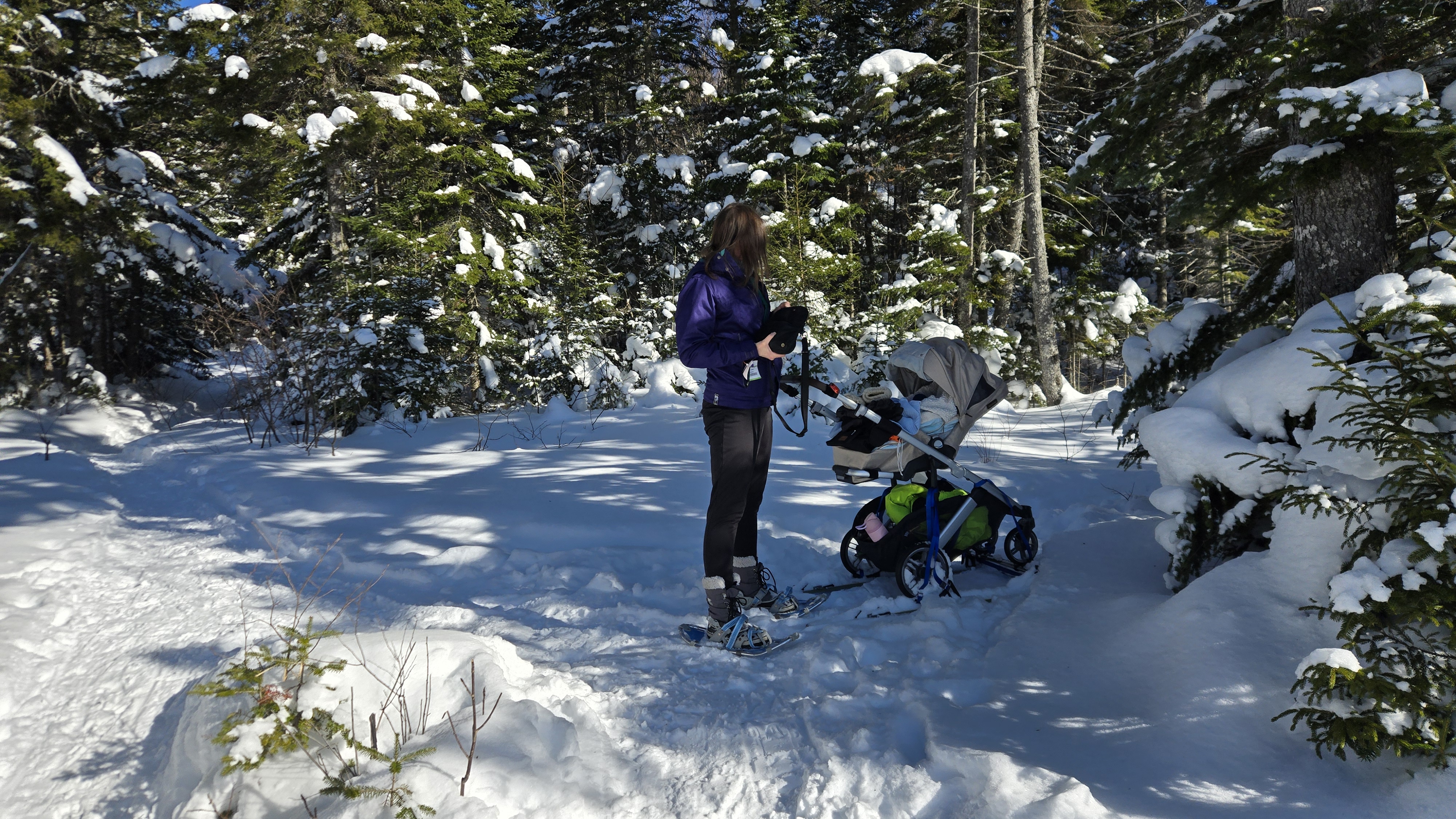 Kid in stroller on a snowy trail